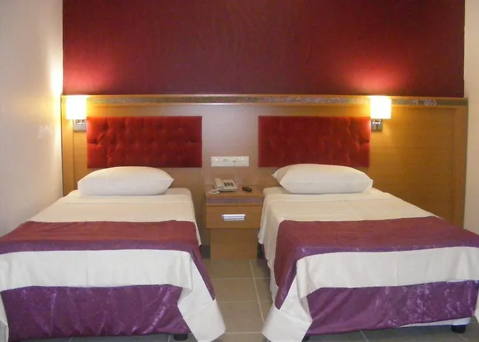 New Bodrum 3* Гумбет