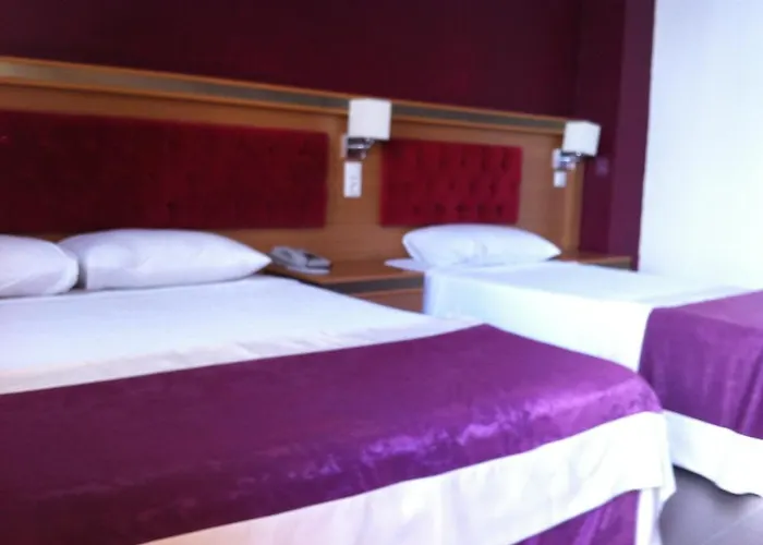 New Bodrum 3* Гумбет