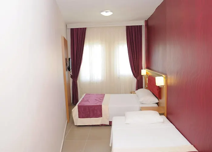 New Bodrum 3* Гумбет